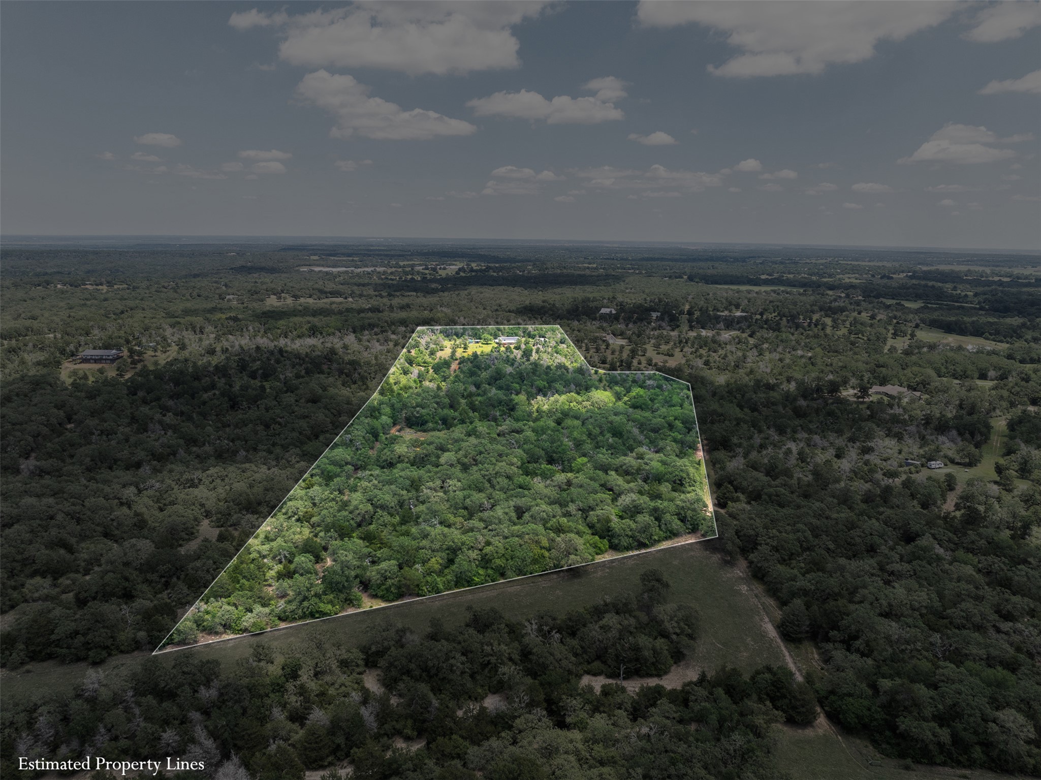 1004 22 Hills Road Gause, TX 77857 - Photo 7 of 37 A verdant parcel, defined by property lines, awaits development in a secluded, wooded landscape.