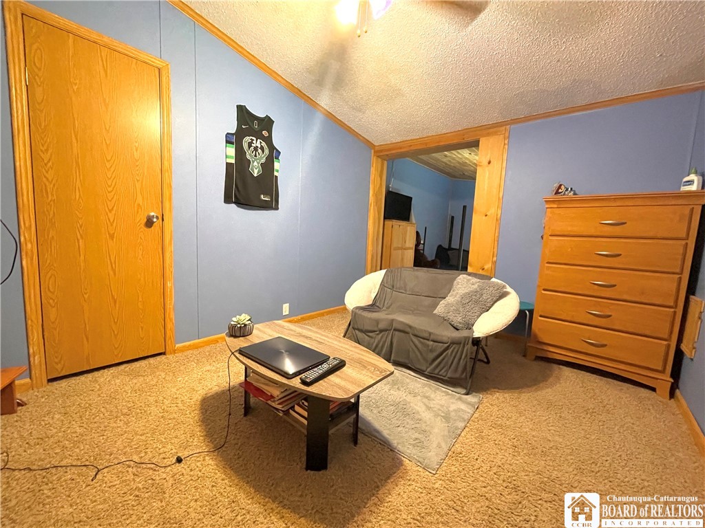 8138 Rood Road Arkwright, NY 14723 - Photo 16 of 23