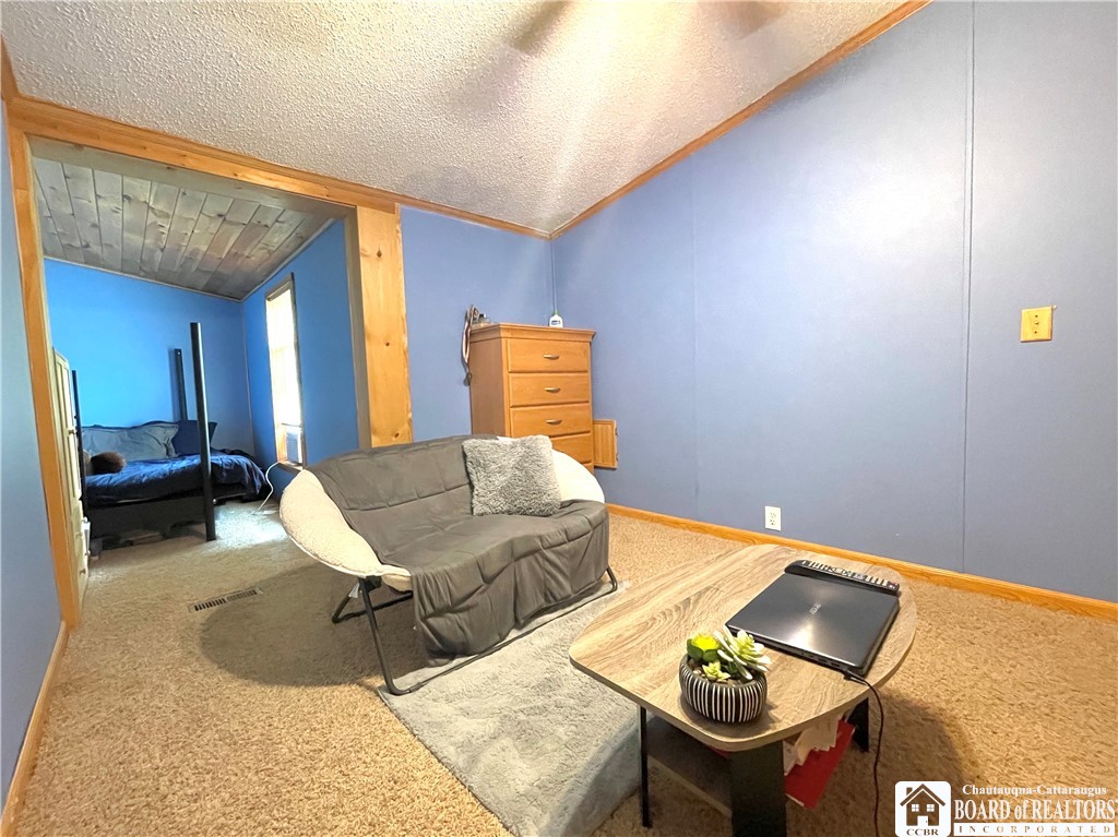 8138 Rood Road Arkwright, NY 14723 - Photo 17 of 23