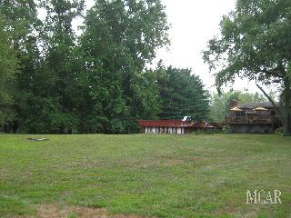 Rear yard