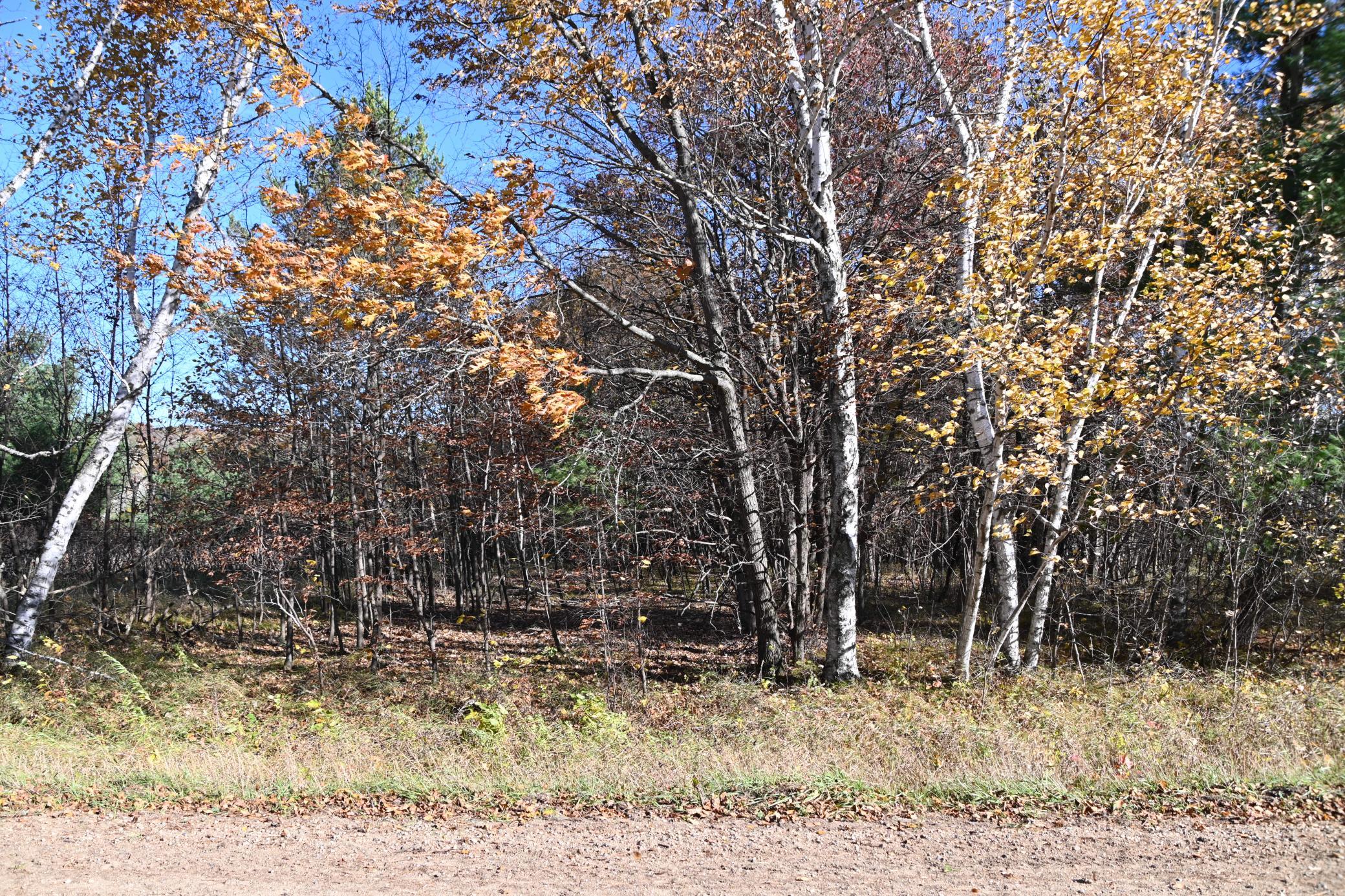 Tbd Pacer Loop Browerville, MN 56438 - Photo 3 of 8 Gallery Image 3