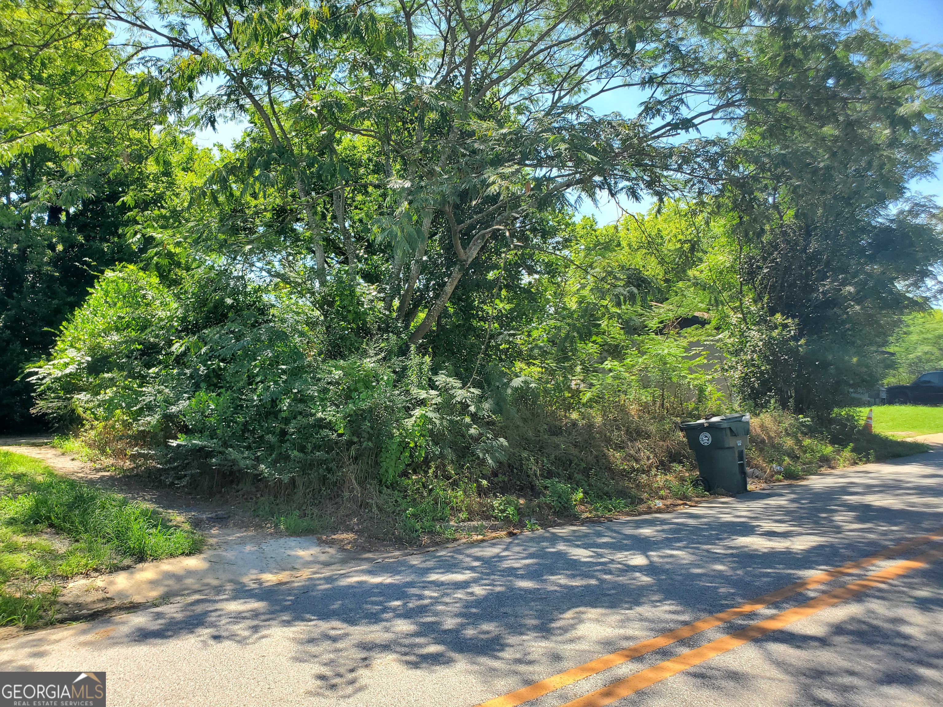 a view of a lake with a trees