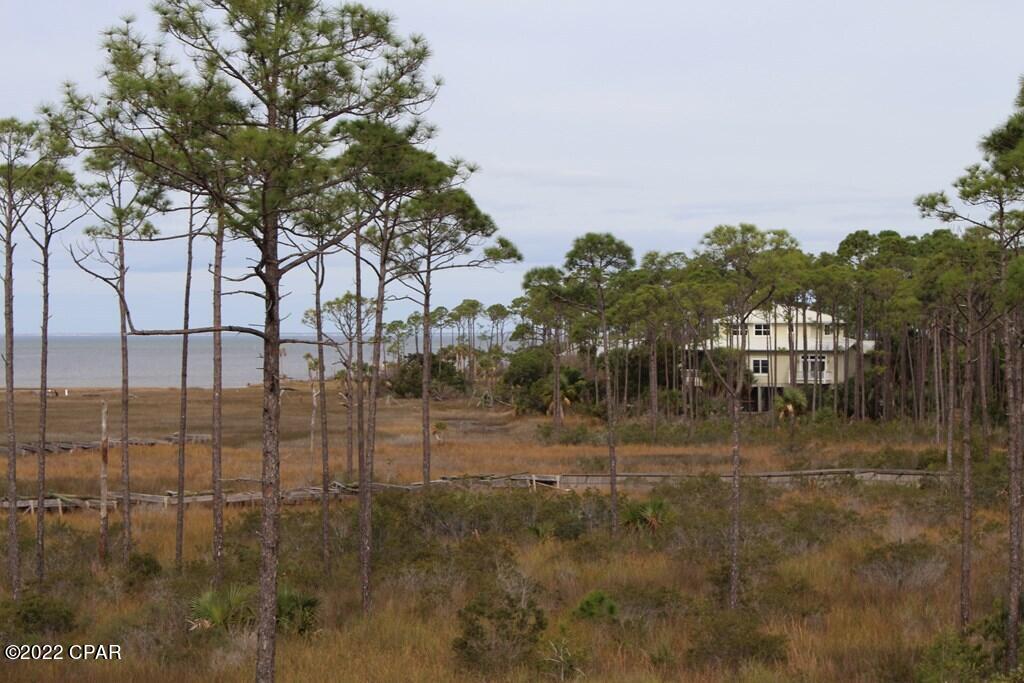 18 Shallow Reed Dr Port Street Port St. Joe, FL 32456 - Photo 6 of 10 Gallery Image 6