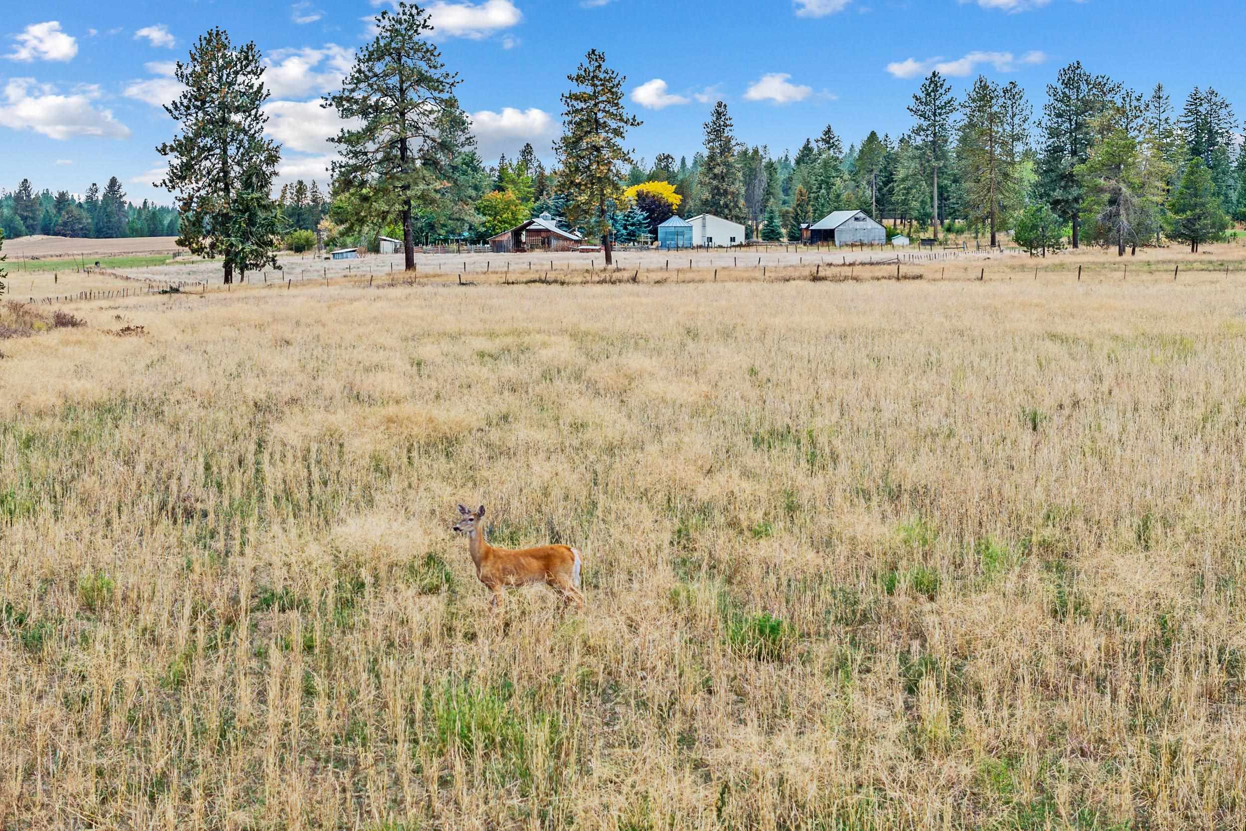11512 East Bridges Road Elk, WA 99009 - Photo 48 of 50 Gallery Image 48