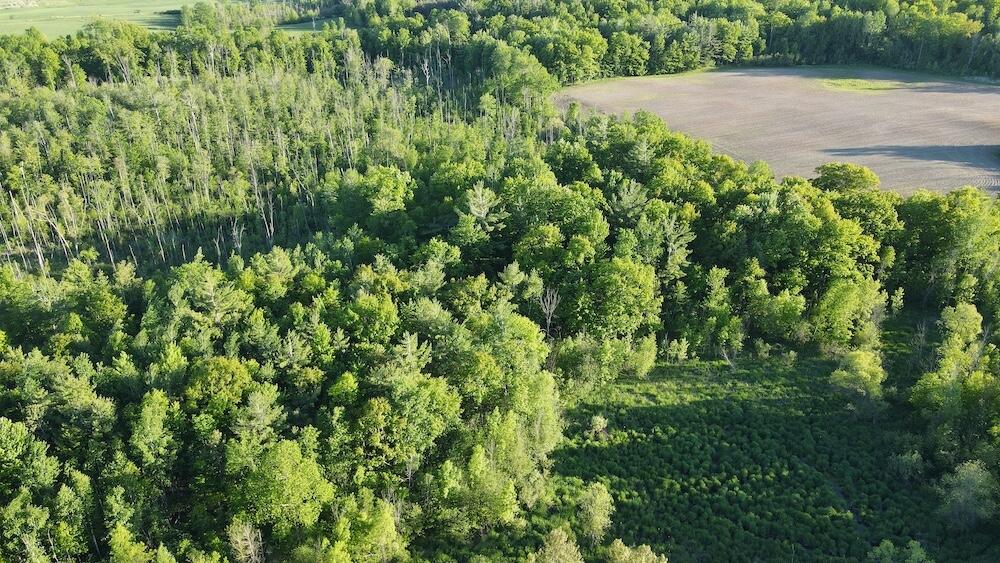 Vl Melcher Road Prescott, MI 48756 - Photo 26 of 65 DJI_0827