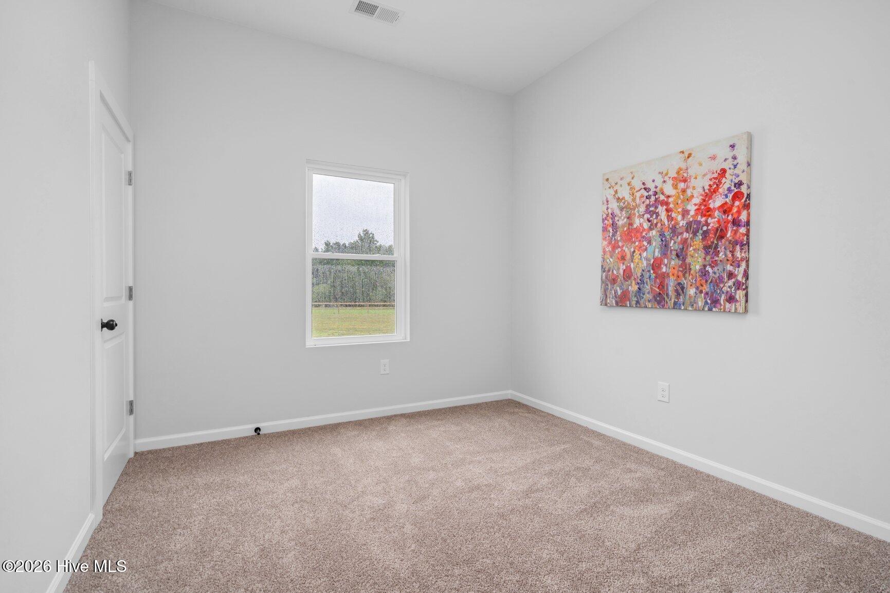 1173 Nick Coley Road Whitakers, NC 27891 - Photo 24 of 40