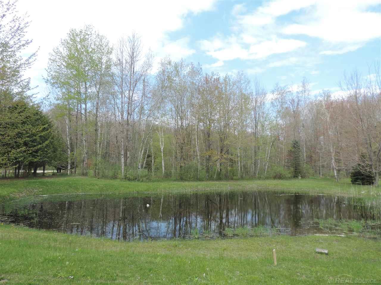 2165 South Loree Road Applegate, MI 48401 - Photo 9 of 35
