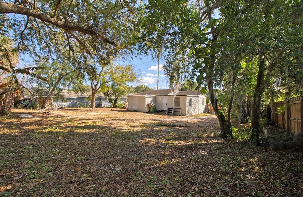 1516 East Waters Avenue Tampa, FL 33604 - Photo 23 of 25 a view of a yard with large trees
