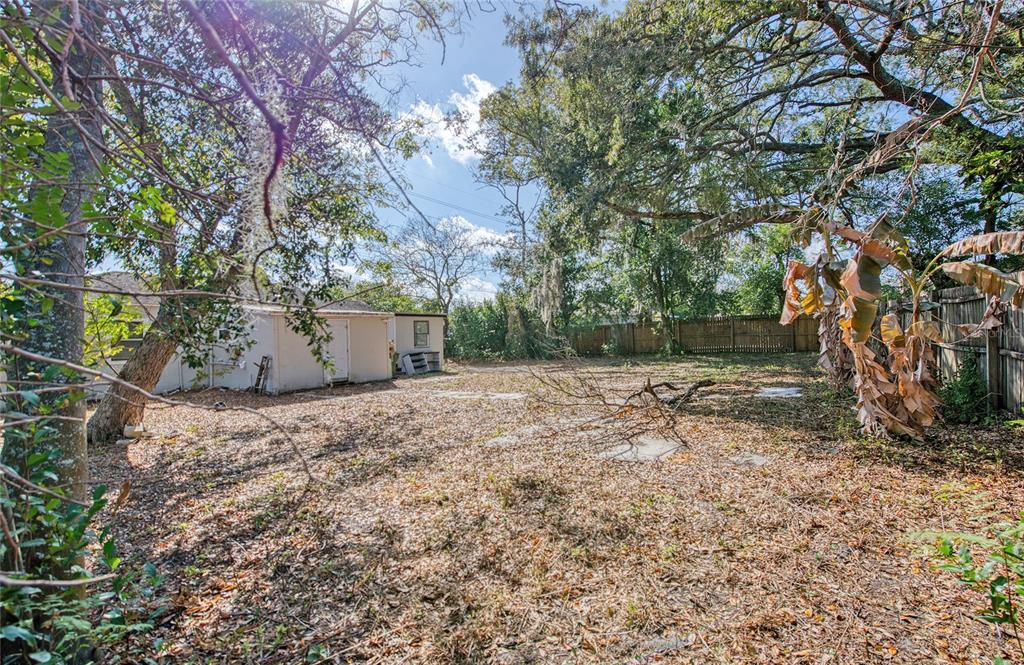 1516 East Waters Avenue Tampa, FL 33604 - Photo 24 of 25 a backyard of a house with a trees