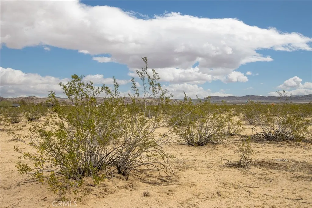 0 4th Street South Joshua Tree, CA 92252 - Photo 13 of 16 a view of a lake