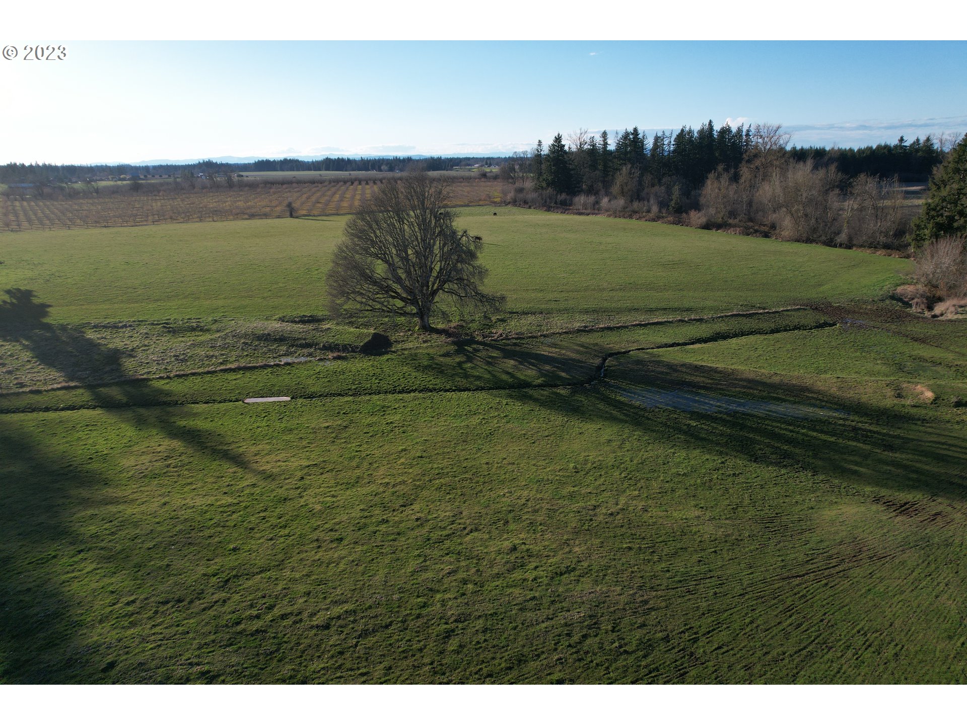 8951 South Schneider Road Canby, OR 97013 - Photo 33 of 39 a view of a lake with a yard
