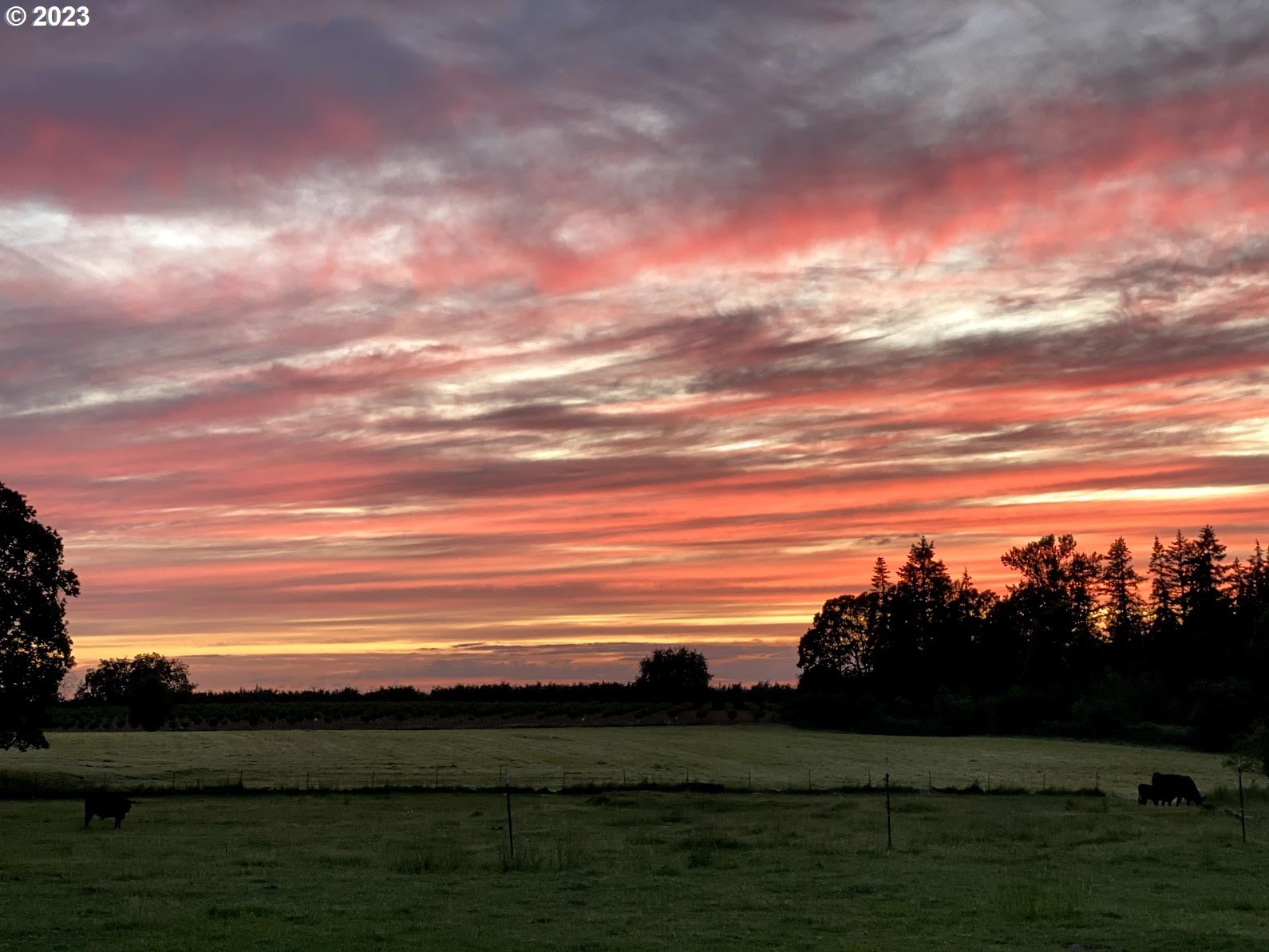 8951 South Schneider Road Canby, OR 97013 - Photo 36 of 39 a view of an ocean