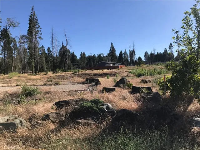 a view of outdoor space and covered with trees