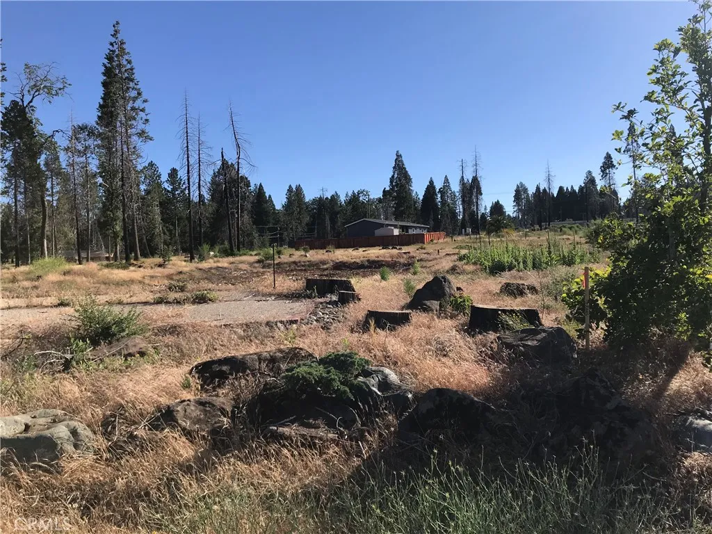a view of outdoor space and covered with trees