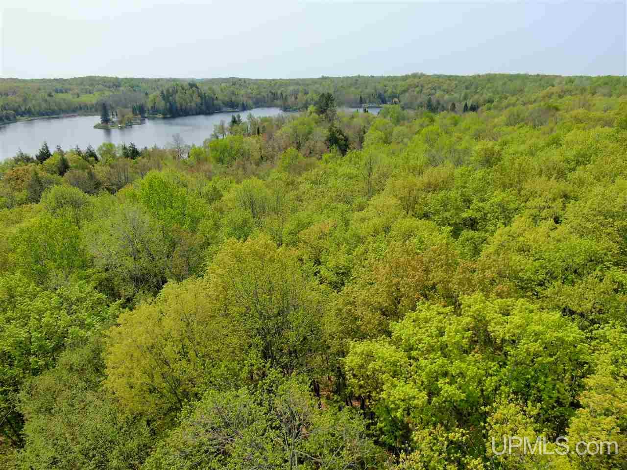 On Chaney Lake Cove Road Wakefield, MI 49968 - Photo 9 of 14 Gallery Image 9