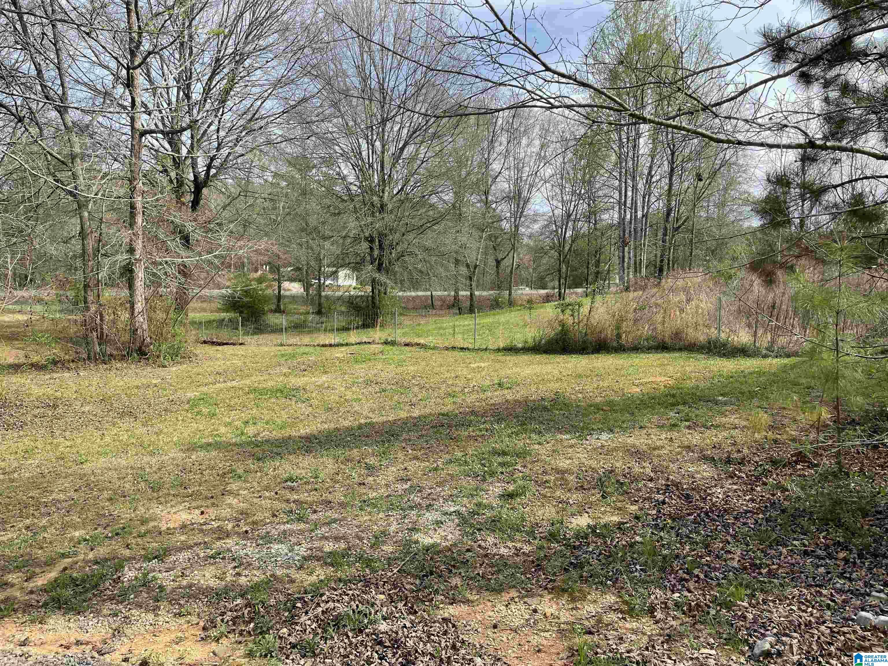 2506 Woolfolk Road Munford, AL 36268 - Photo 27 of 32