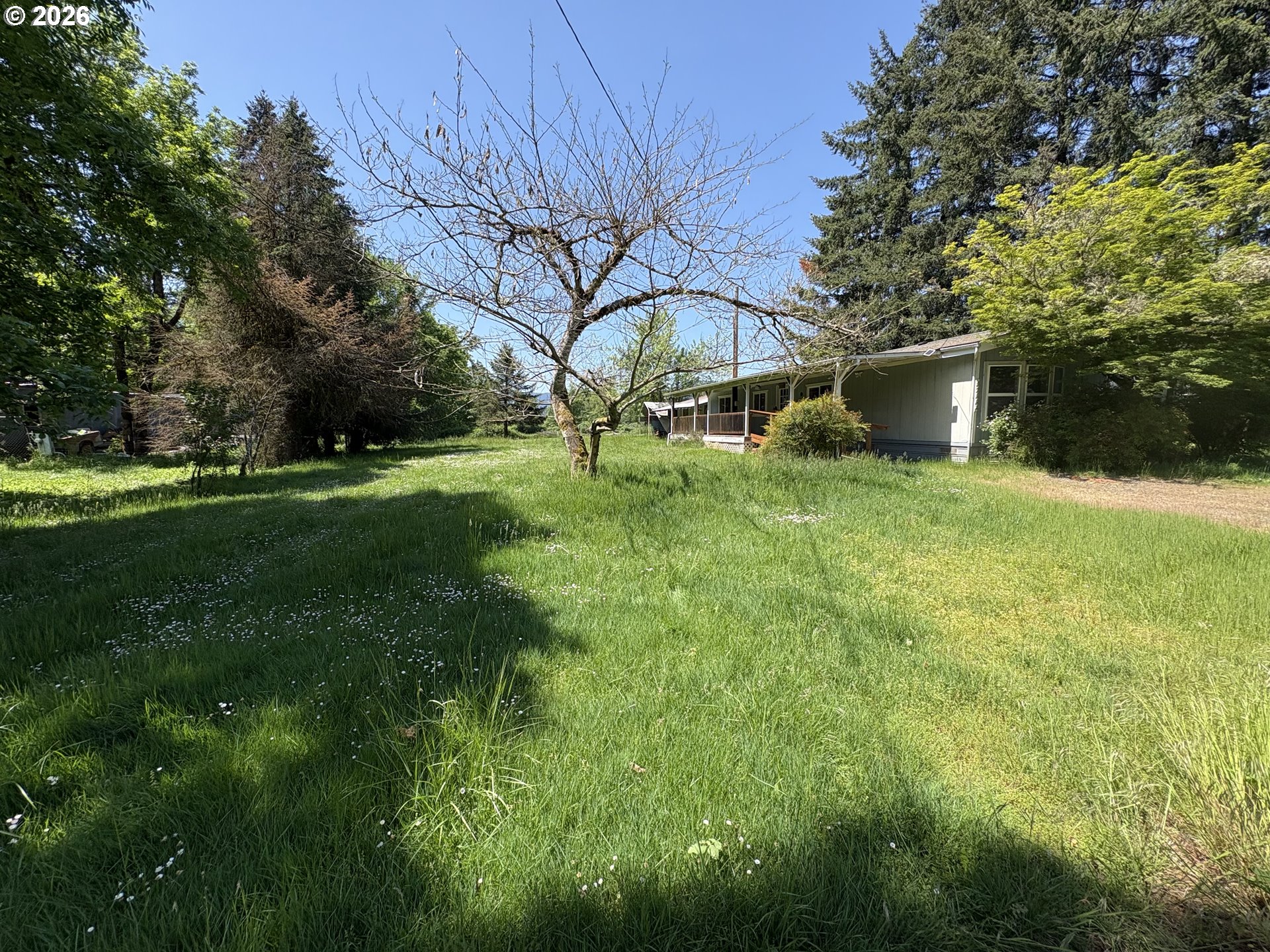 92008 Maple Lane Springfield, OR 97478 - Photo 2 of 20