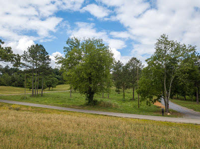 Ward Road Loudon, TN 37774 - Photo 1 of 30 379D9FCE-978E-4DAA-BD41-ED41963FA4EF