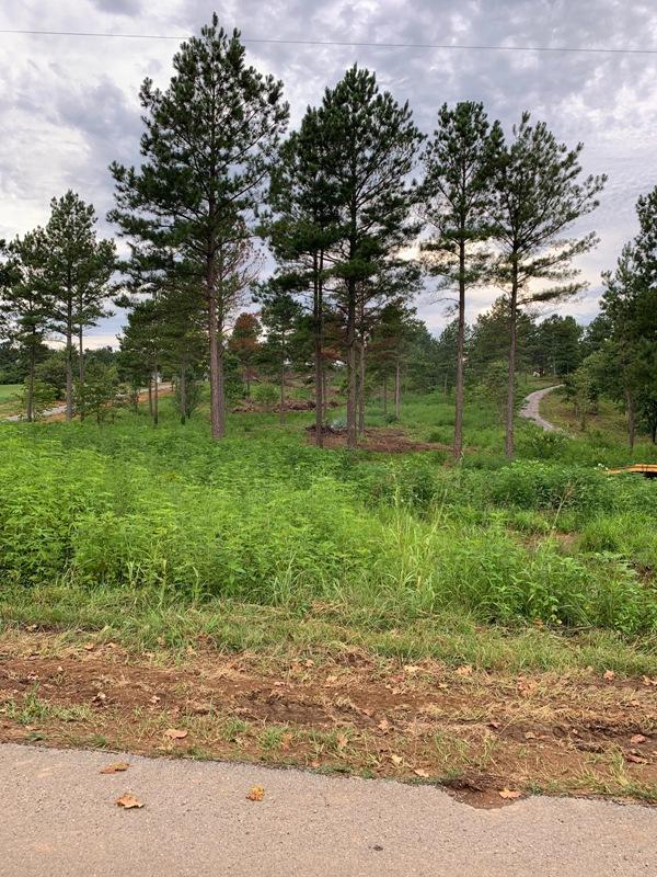 Ward Road Loudon, TN 37774 - Photo 2 of 30 1