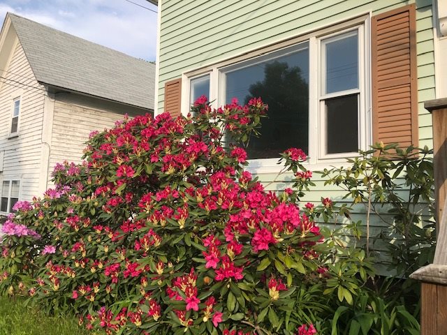 73 Portland Avenue Dover, NH 03820 - Photo 3 of 24