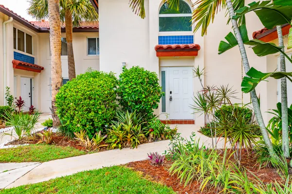 a plant that is sitting in front of a house