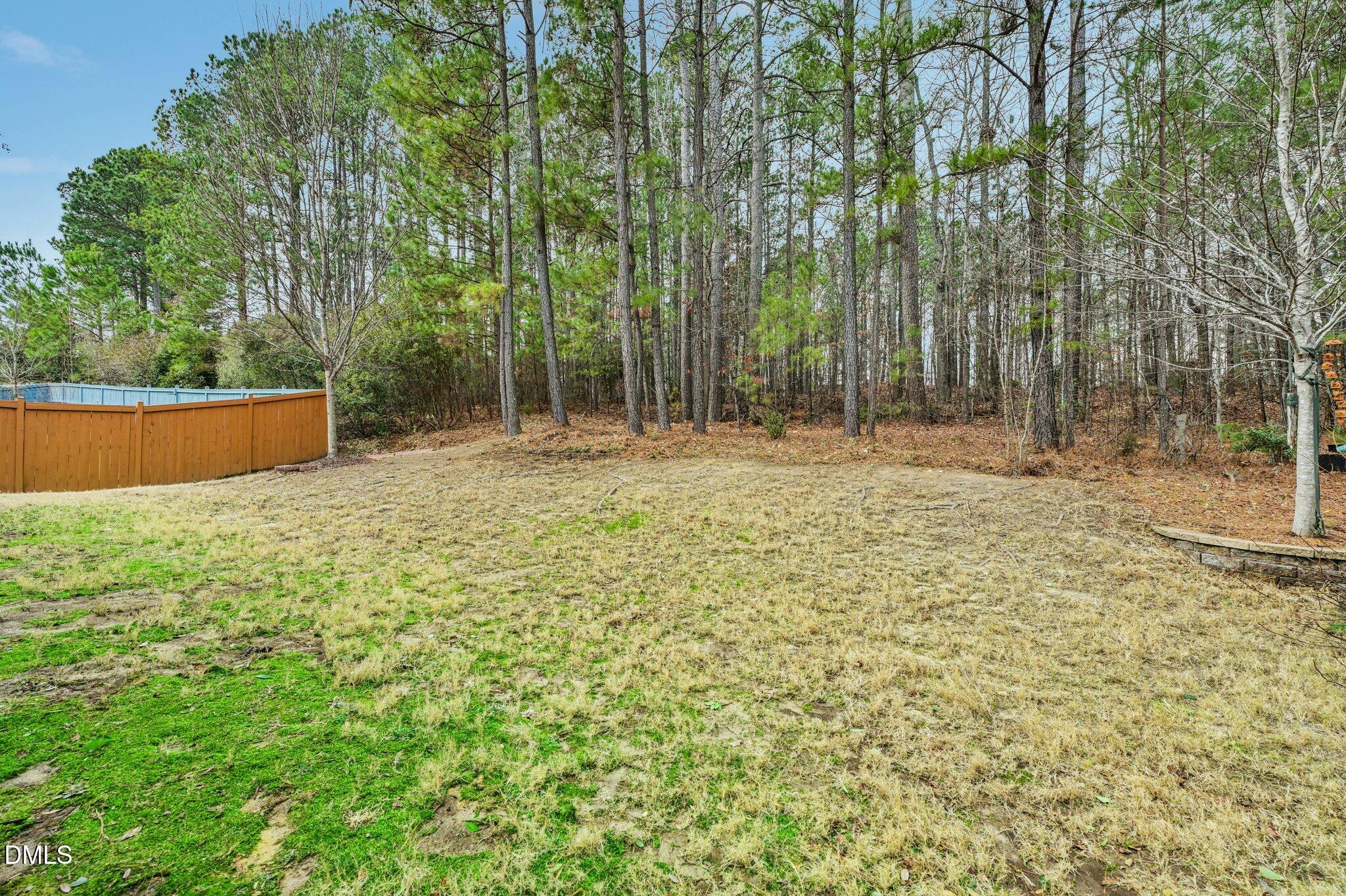 316 Rapport Drive Cary, NC 27519 - Photo 58 of 60 a view of outdoor space with trees