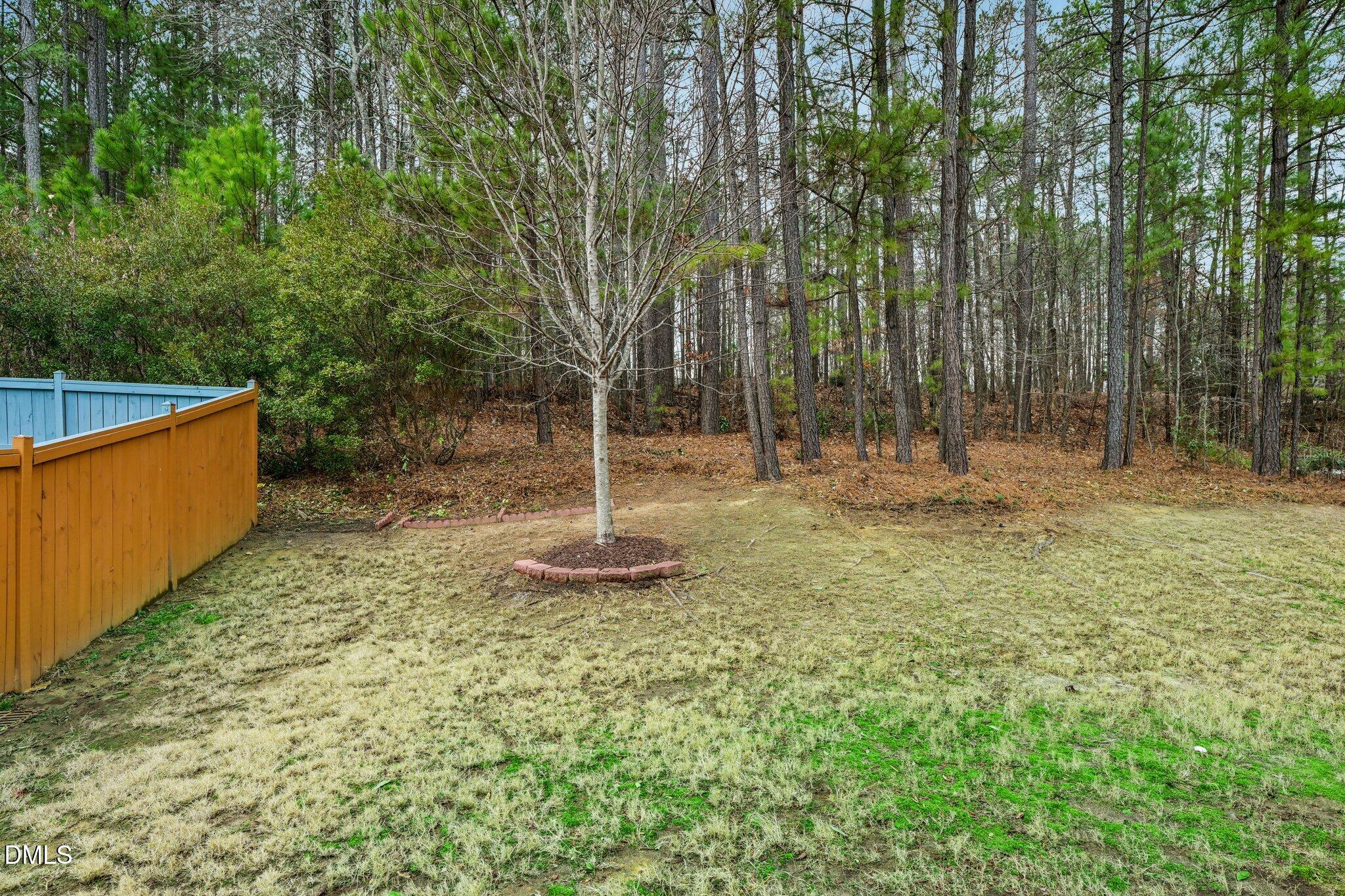 316 Rapport Drive Cary, NC 27519 - Photo 59 of 60 a backyard of a house with lots of green space