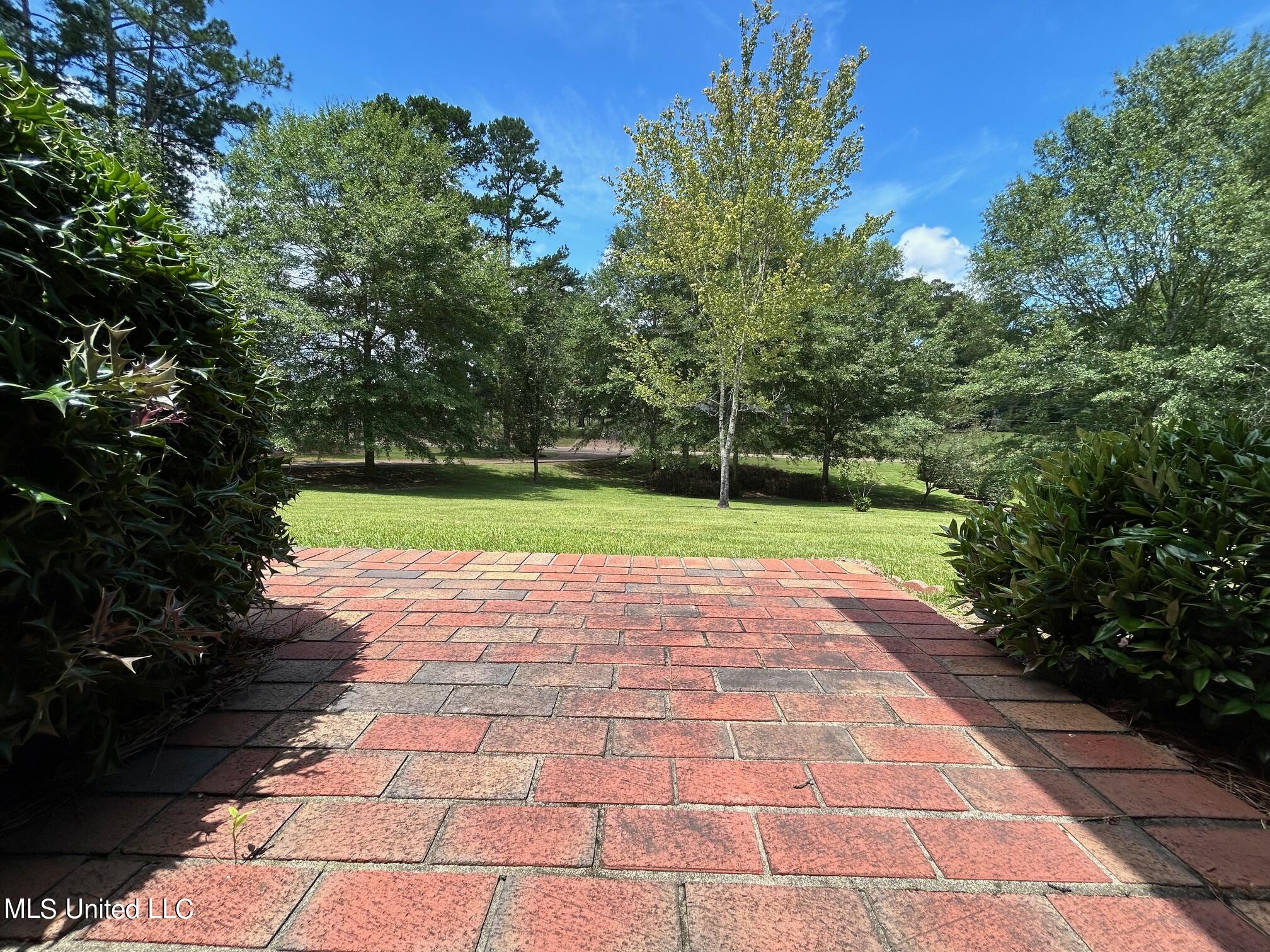 1204 North Jordan Street Carthage, MS 39051 - Photo 7 of 72 IMG_2015