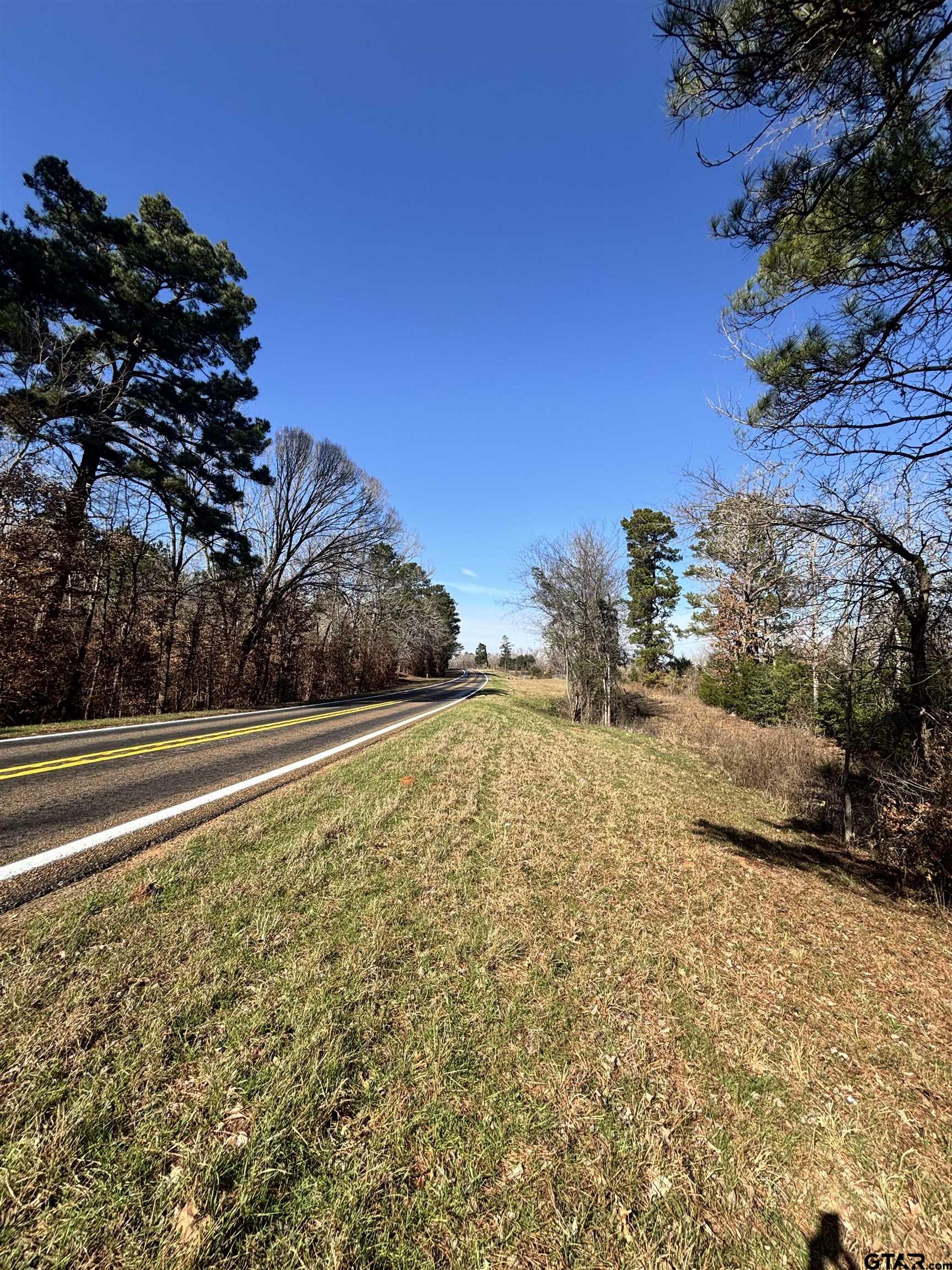 1065 South Main Street Reklaw, TX 75784 - Photo 2 of 7 a view of a yard with a large trees