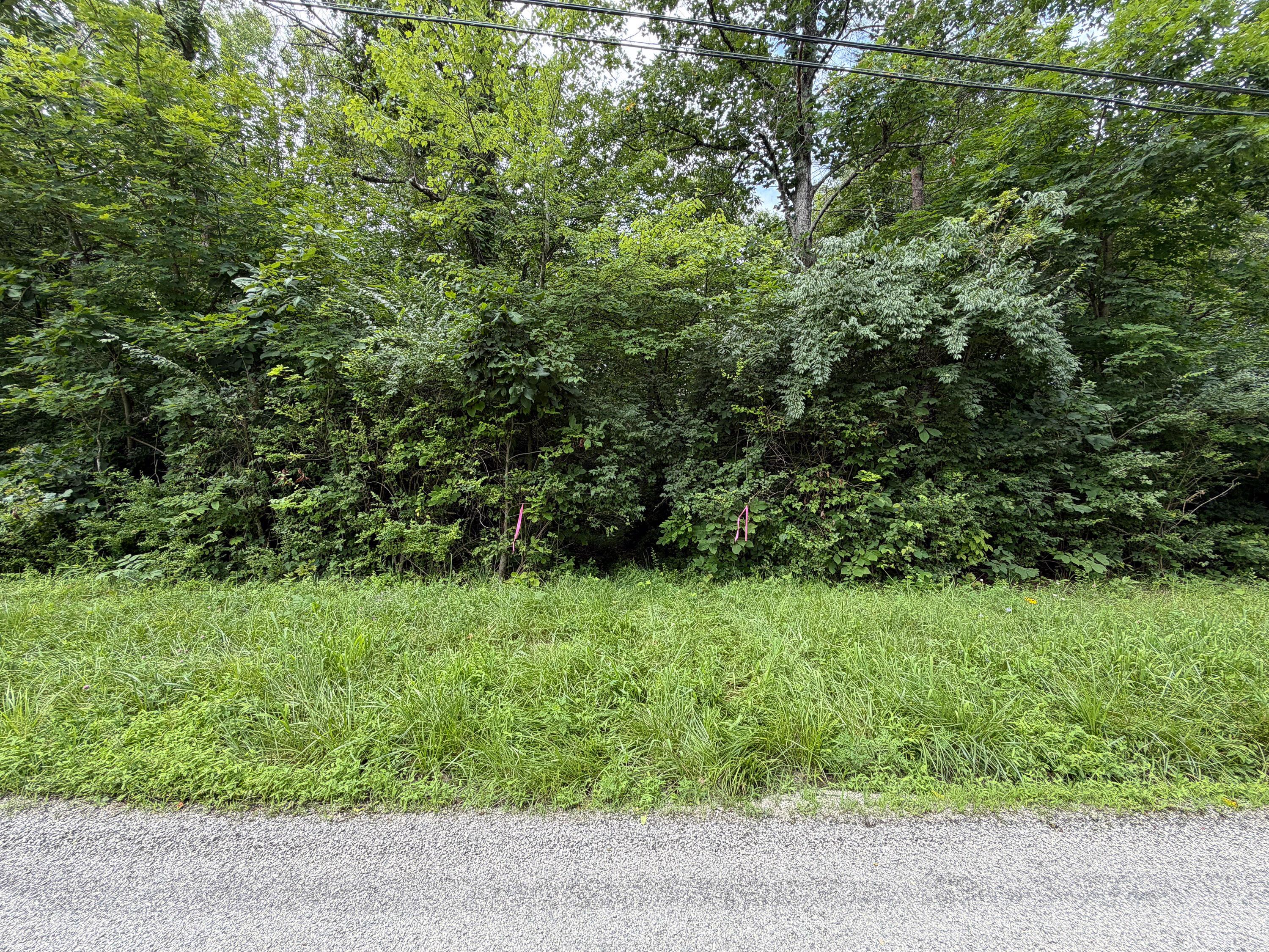 0 Gun Club Road New Marshfield, OH 45766 - Photo 13 of 19 Gun Club -13