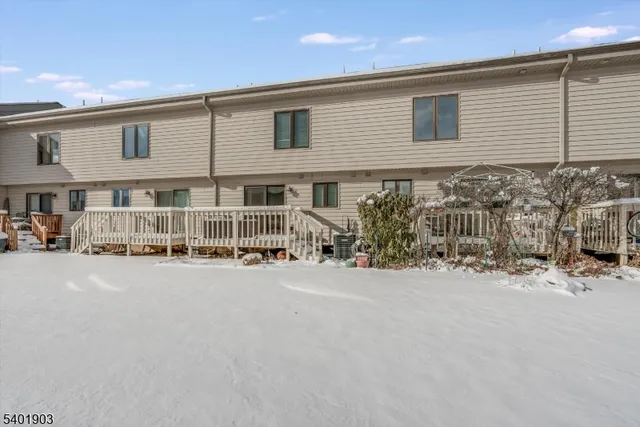 a view of a bunch of flowers and tree