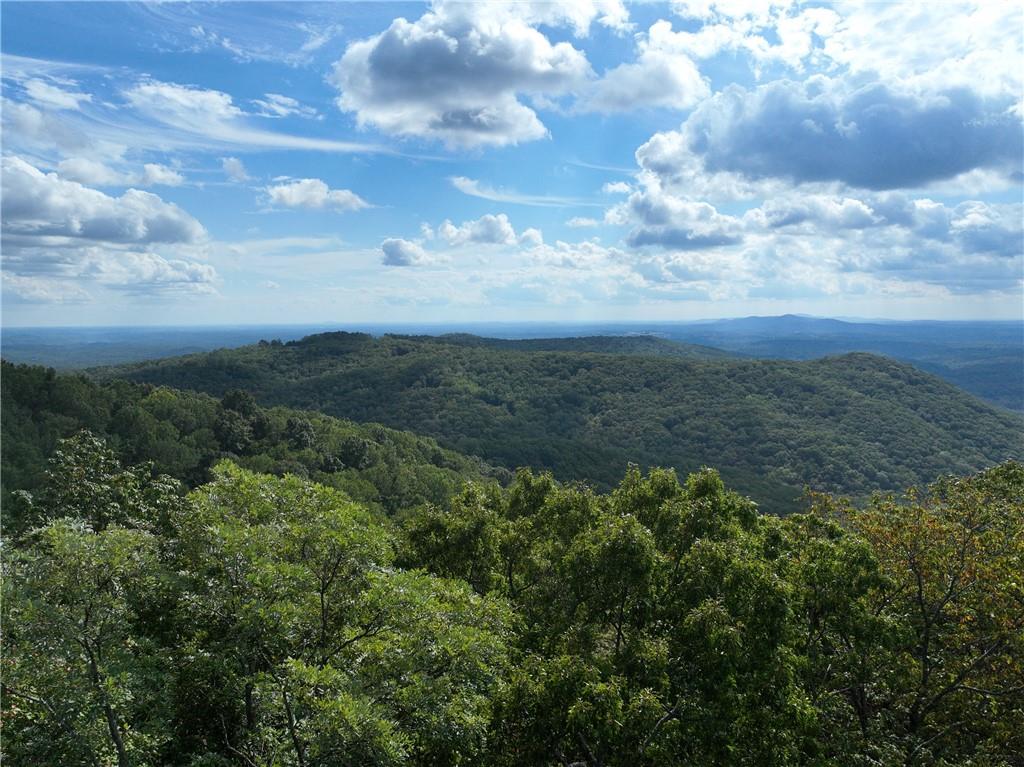 30 Andes Ridge Jasper, GA 30143 - Photo 14 of 15