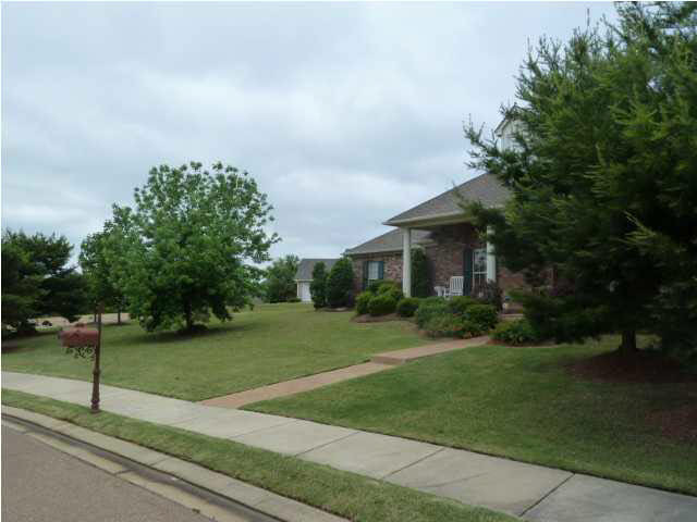 634 Overlook Point Brandon, MS 39047 - Photo 17 of 20 Large corner lot with beautiful trees