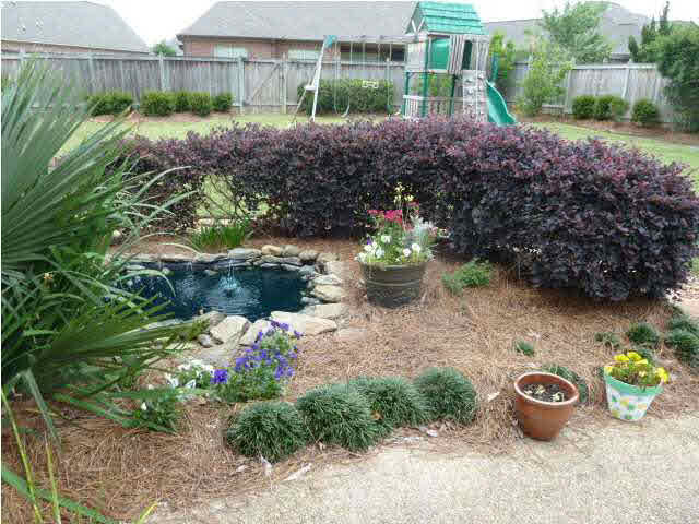 Great backyard garden!