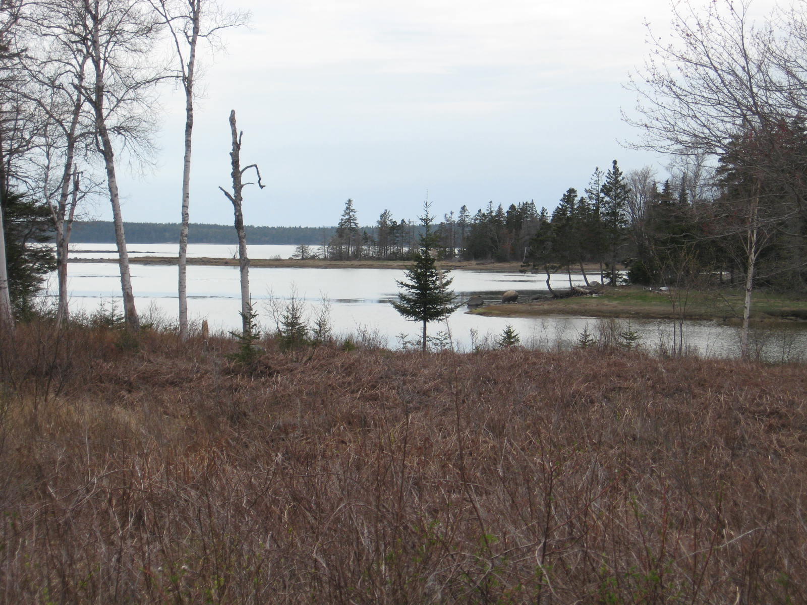 164 Cape Split Road Addison, ME 04606 - Photo 4 of 14 IMG_0003