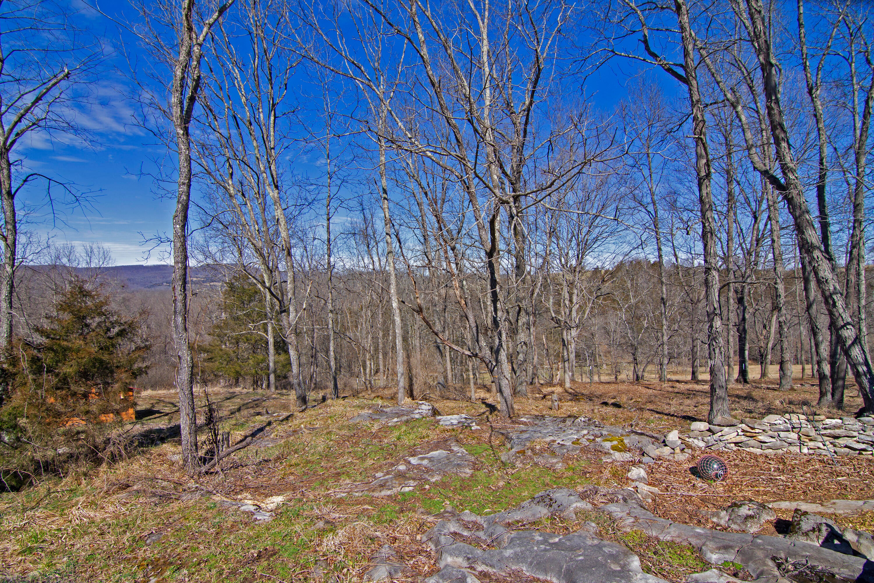 1179 Steels Dam Rd Union Union, WV 24983 - Photo 57 of 78 Gallery Image 57