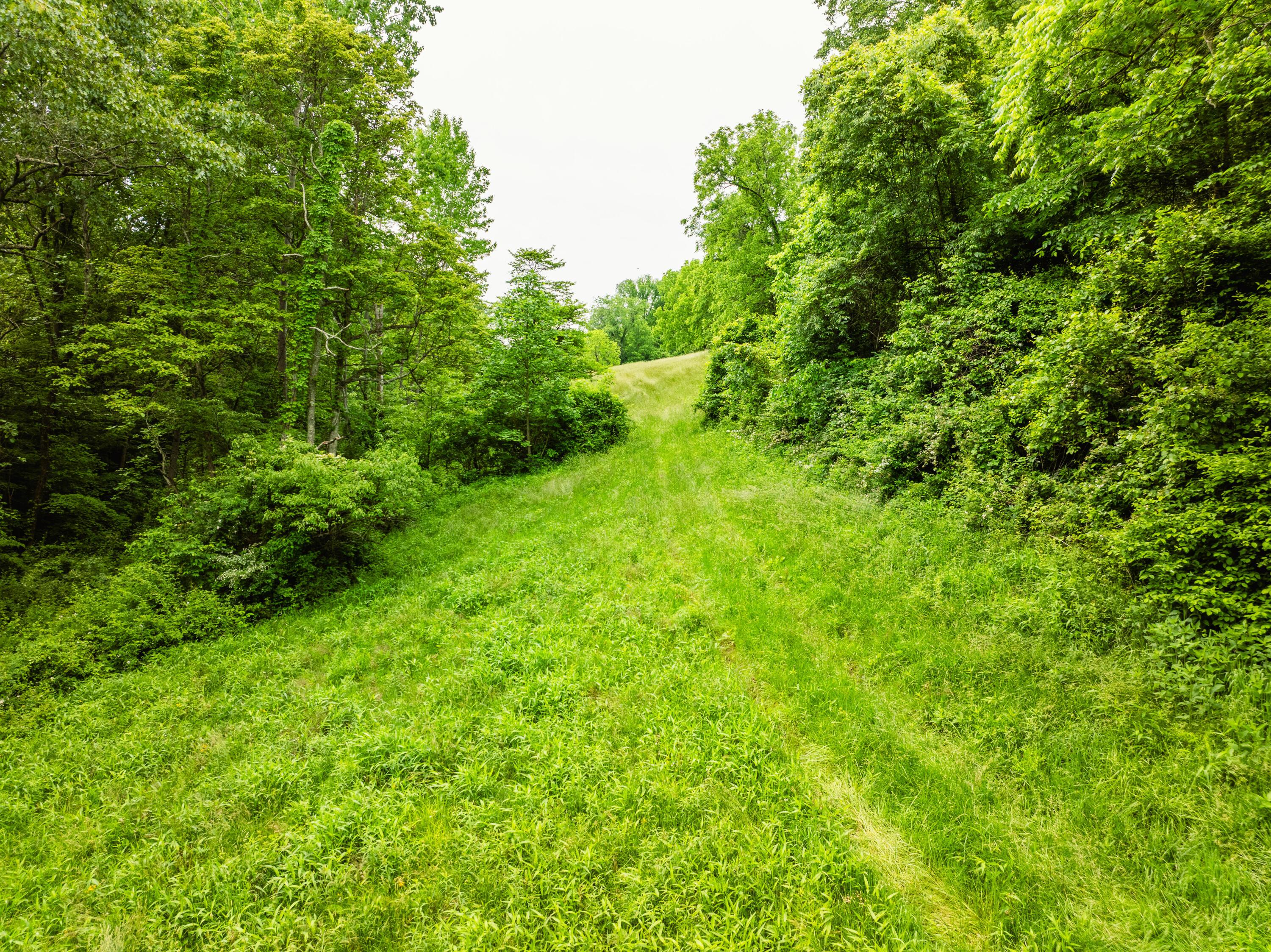 5674 Pleasant Valley Road Nashport, OH 43830 - Photo 48 of 60