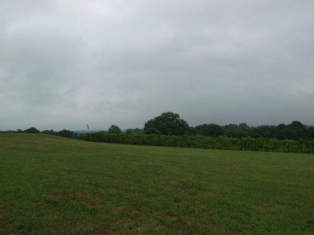 292 Pea Ridge Road Stamping Ground, KY 40379 - Photo 68 of 86 Photo 69