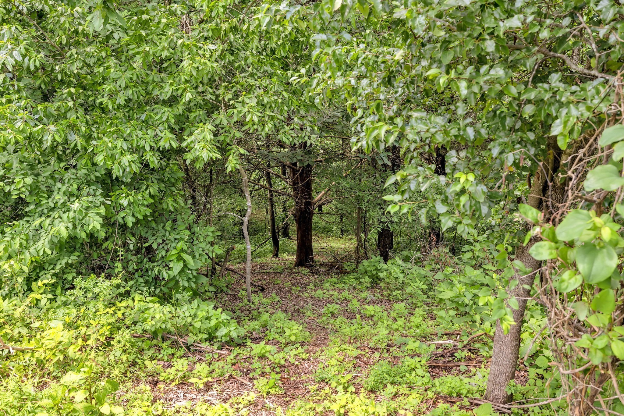 1157 Majors Cemetery Road Lynchburg, TN 37352 - Photo 34 of 51