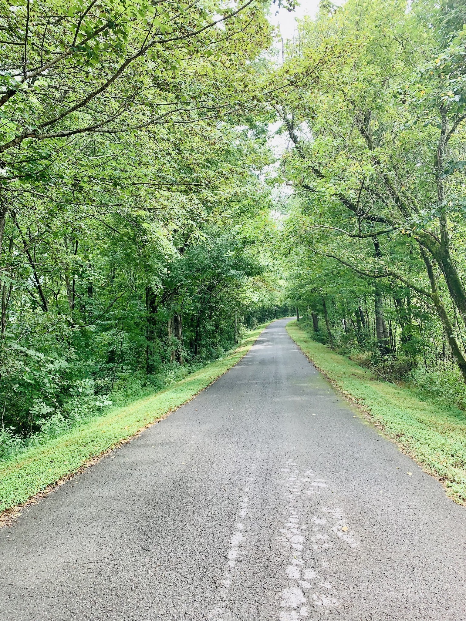 1157 Majors Cemetery Road Lynchburg, TN 37352 - Photo 47 of 51