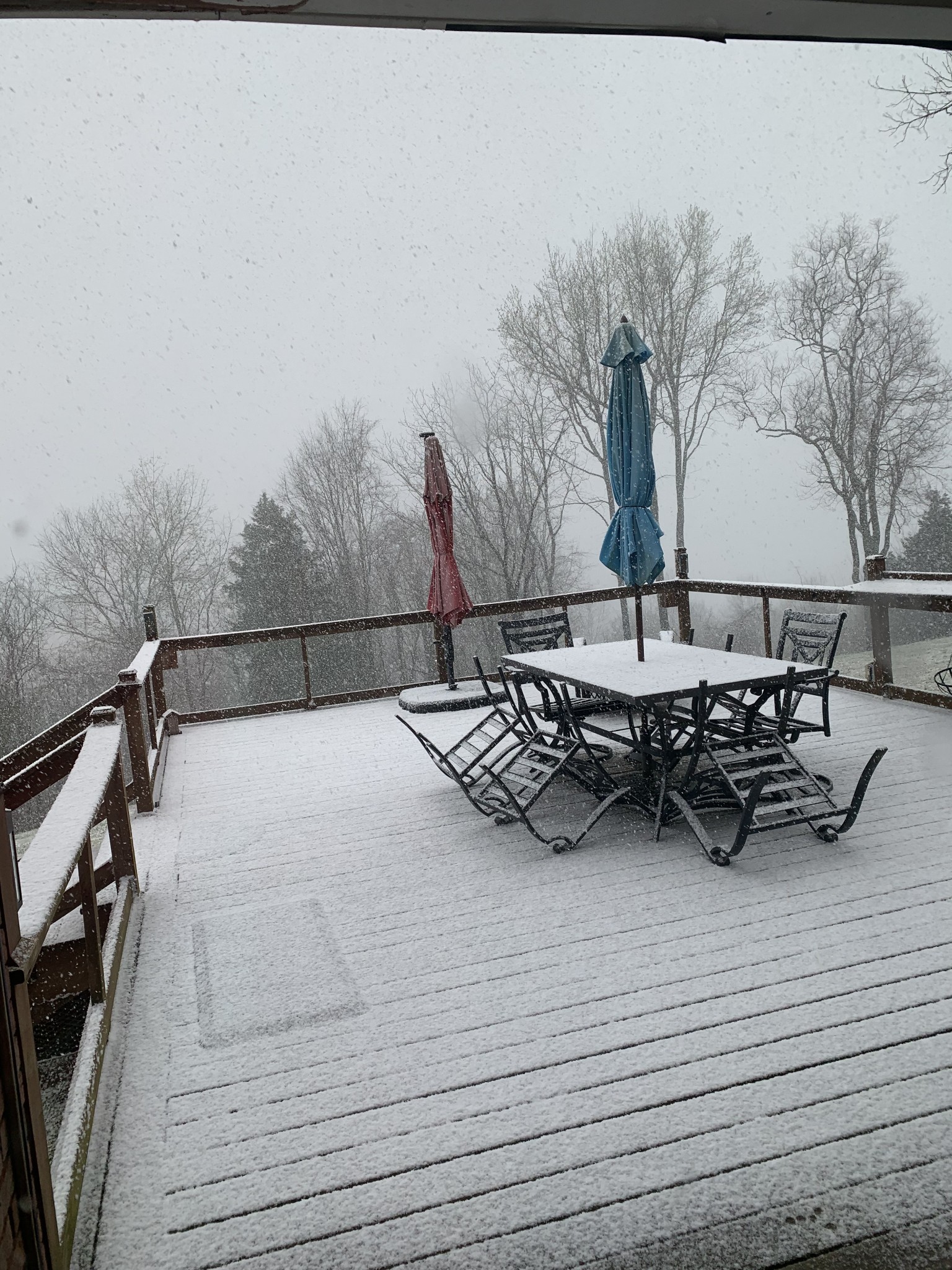 1157 Majors Cemetery Road Lynchburg, TN 37352 - Photo 50 of 51