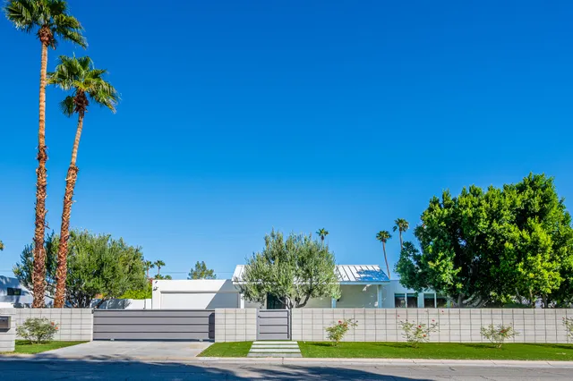 a view of a yard with palm trees