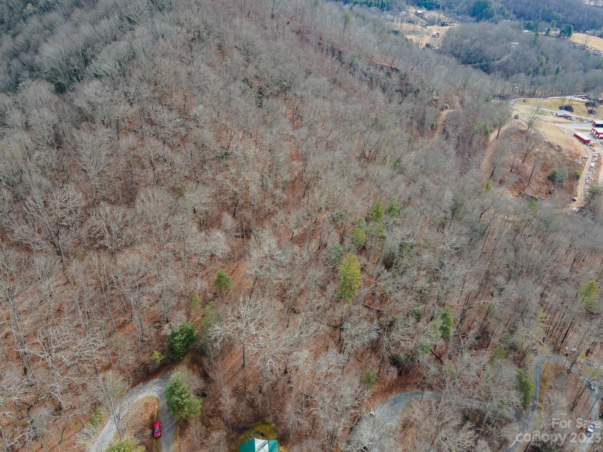 Lot 9 Seay Mountain Road Waynesville, NC 28785 - Photo 17 of 28 a view of a dry yard with trees all around