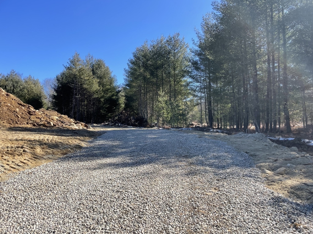 4 Orange Street, Unit LOT 11 Douglas, MA 01516 - Photo 12 of 15 a view of dirt yard with trees