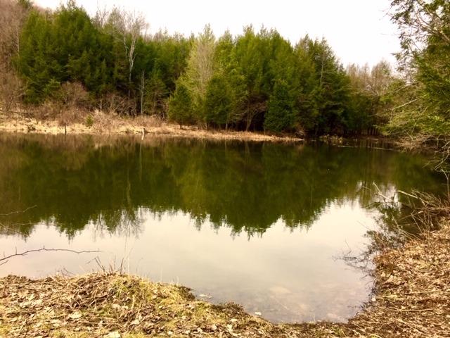 0 Quarry Road Guilford, NY 13780 - Photo 1 of 1 Gallery Image 1