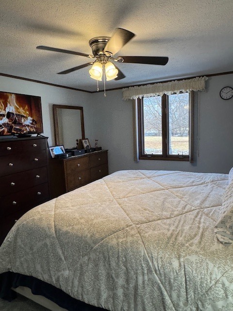 25 Crystal Court, Unit D1 Pontiac, IL 61764 - Photo 26 of 45