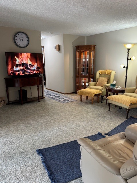 25 Crystal Court, Unit D1 Pontiac, IL 61764 - Photo 7 of 45
