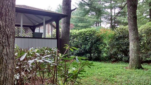 82 Spruce Pine Road Newland, NC 28657 - Photo 15 of 26 Gallery Image 15