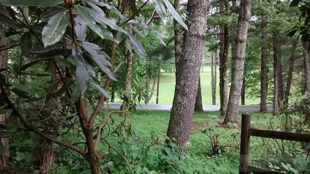 82 Spruce Pine Road Newland, NC 28657 - Photo 17 of 26 Gallery Image 17