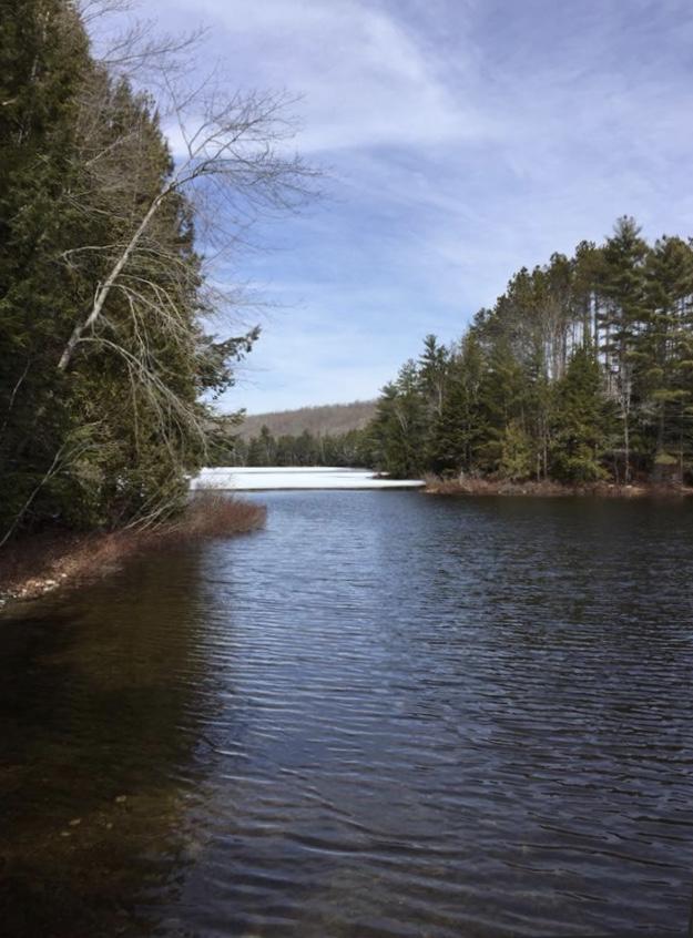 630 Springy Pond Road Ellsworth, ME 04605 - Photo 19 of 27 IMG_1238